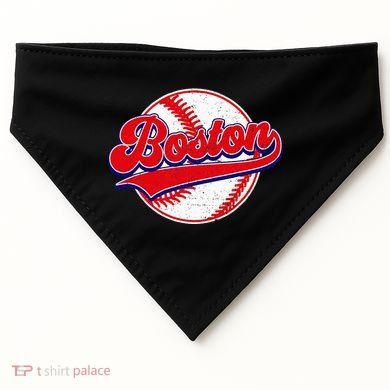 Boston Baseball Cityscape Distressed Women USA-Made Doggie Bandana
