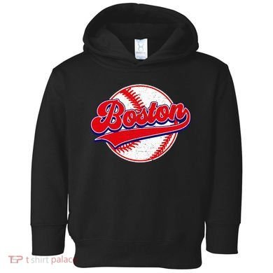 Boston Baseball Cityscape Distressed Women Toddler Hoodie