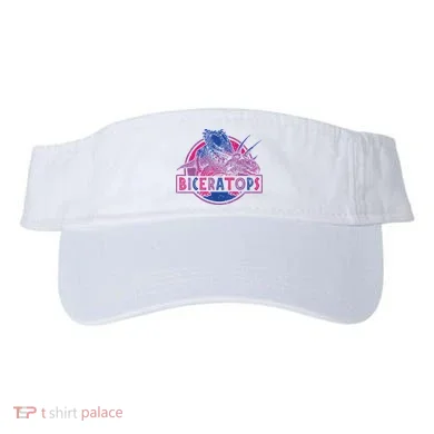 Visor