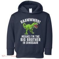 Big Brother Dinosaur Toddler Hoodie thumb 0