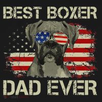 Best Boxer Dad Ever Dog Lover American Flag Gift Women's Hoodie thumb 2