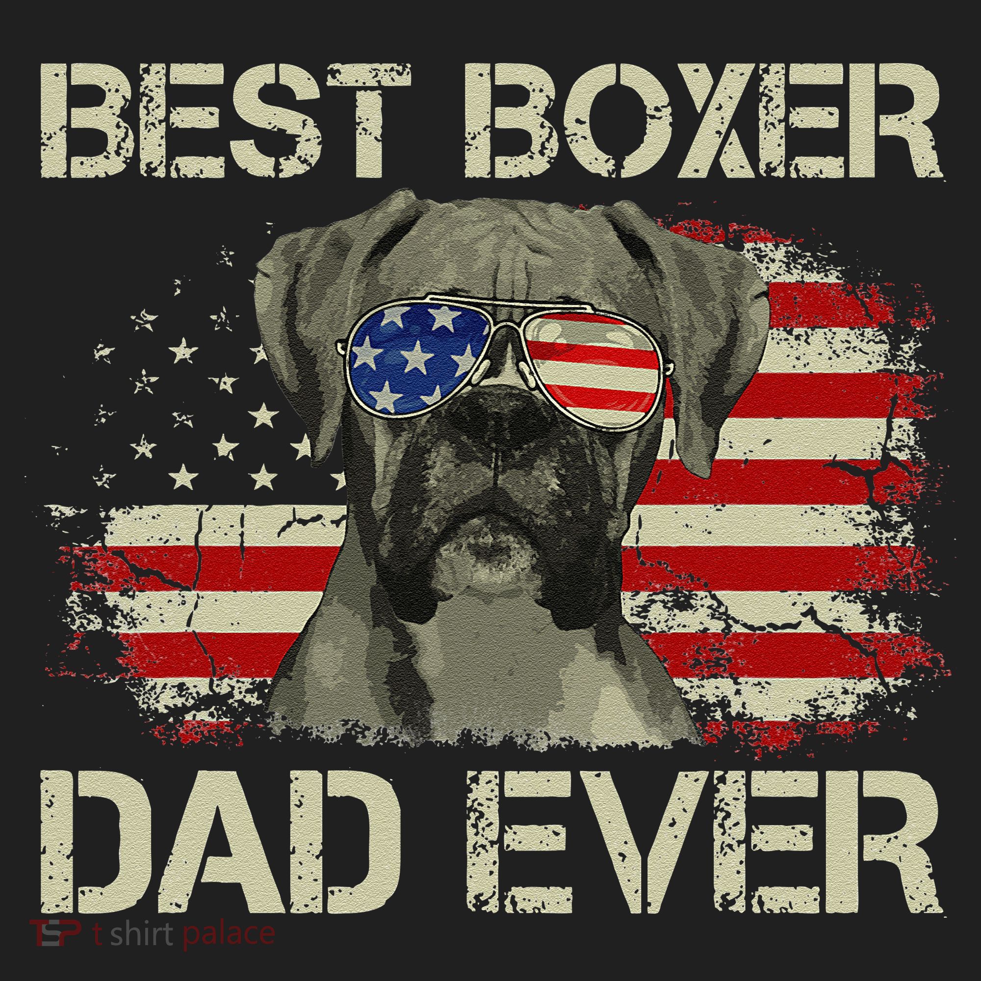 Best Boxer Dad Ever Dog Lover American Flag Gift Hat