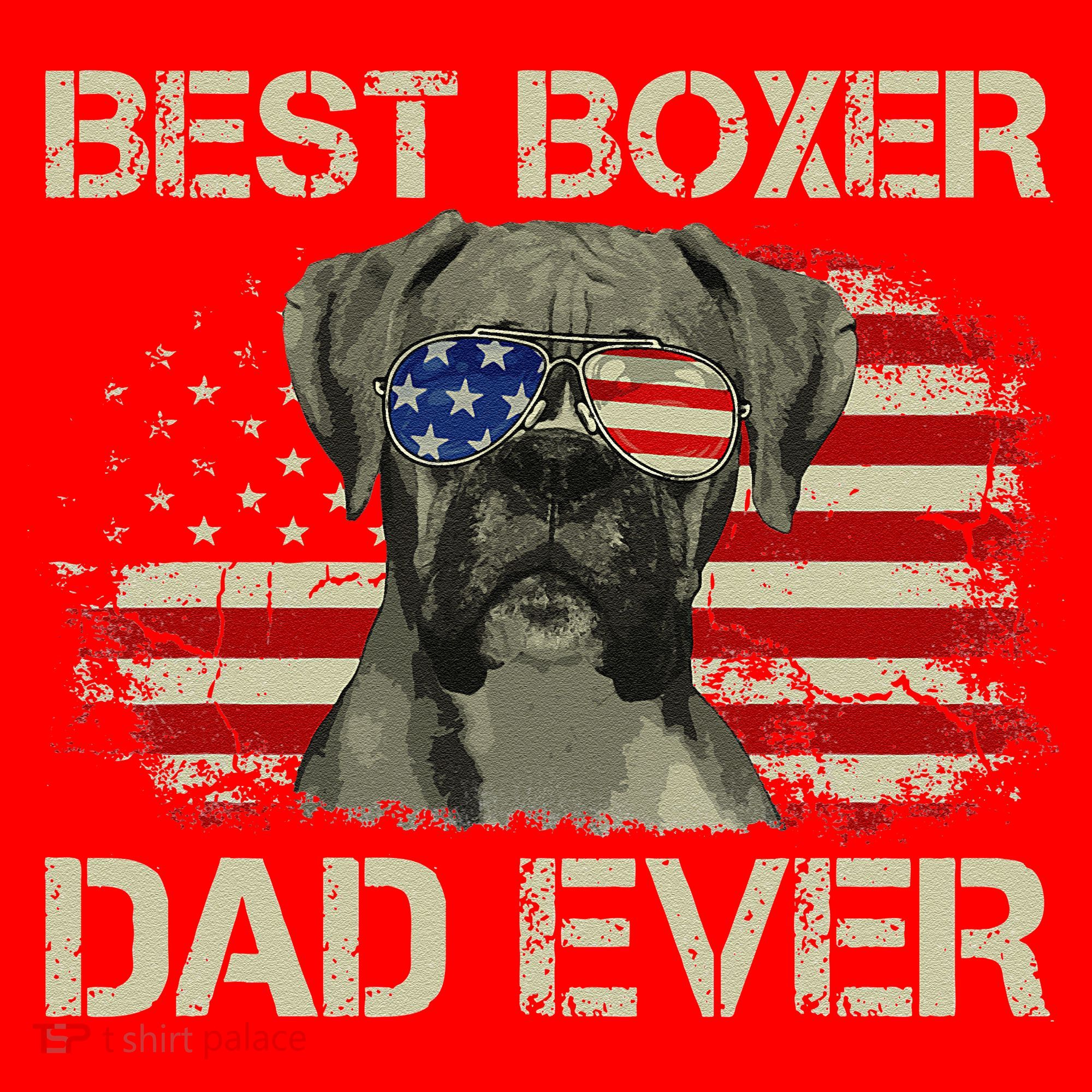 Best Boxer Dad Ever Dog Lover American Flag Gift Santa Hat