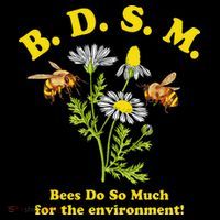 BDSM Bees Do So Much For The Environment Kids Sweatshirt thumb 2