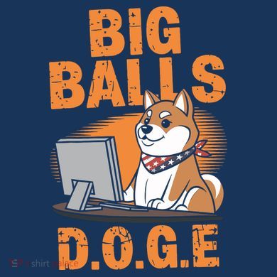 Big Balls D.O.G.E Doge Funny 16 in Basic Backpack