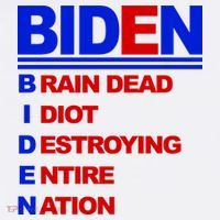 Biden Brain Dead Idiot Destroying Entire Nation Long Sleeve Shirt thumb 2