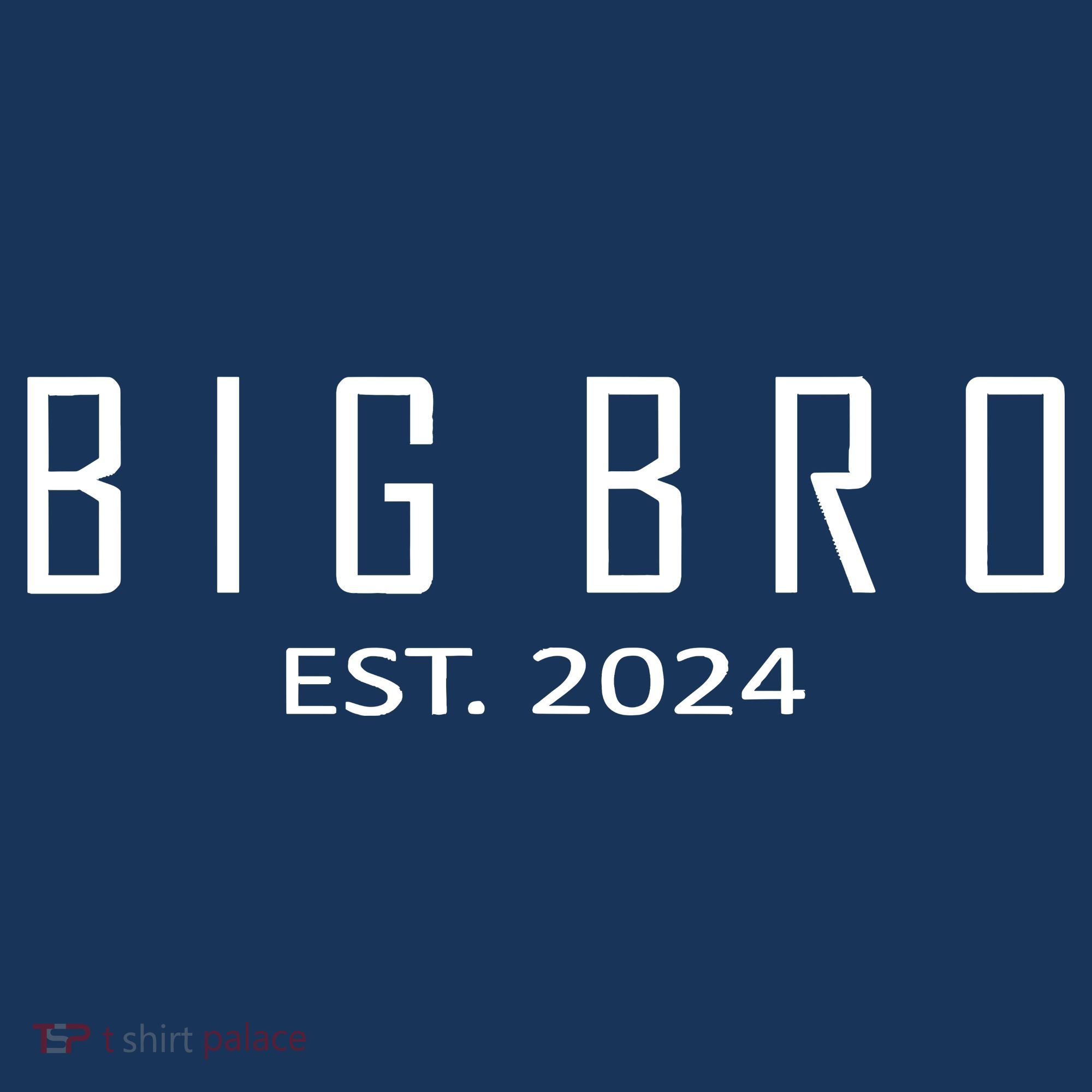 Big Bro Est 2024 Funny First Time Brother Promoted T-Shirt