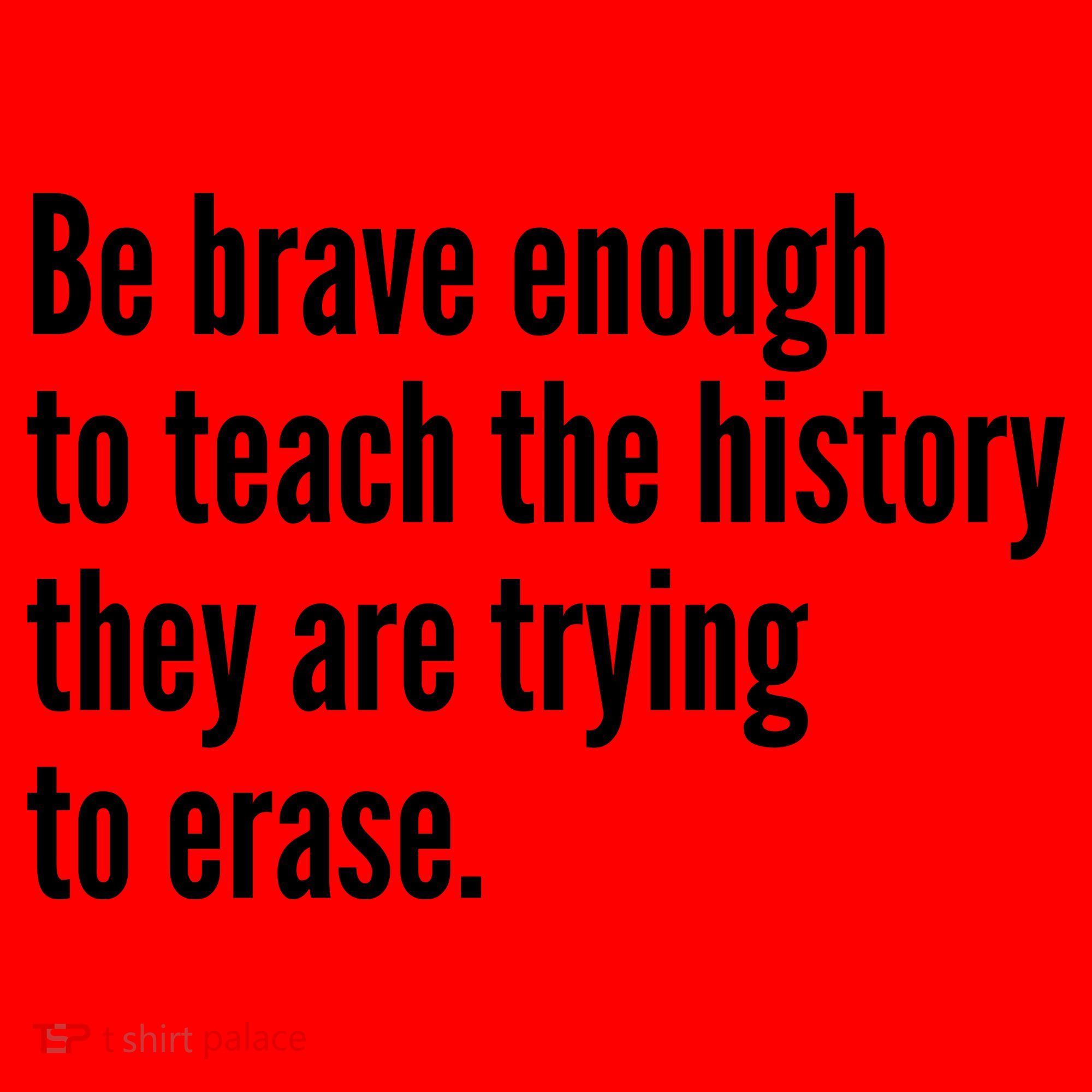 Be Brave Enough To Teach The History They Are Trying To Erase Santa Hat