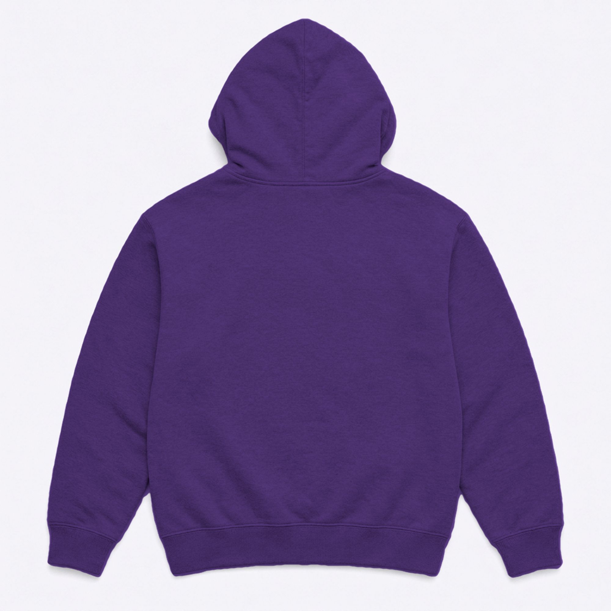 Beta Hoodie