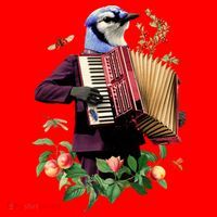 Blue Bird Fancy Animal Musician Apron thumb 3