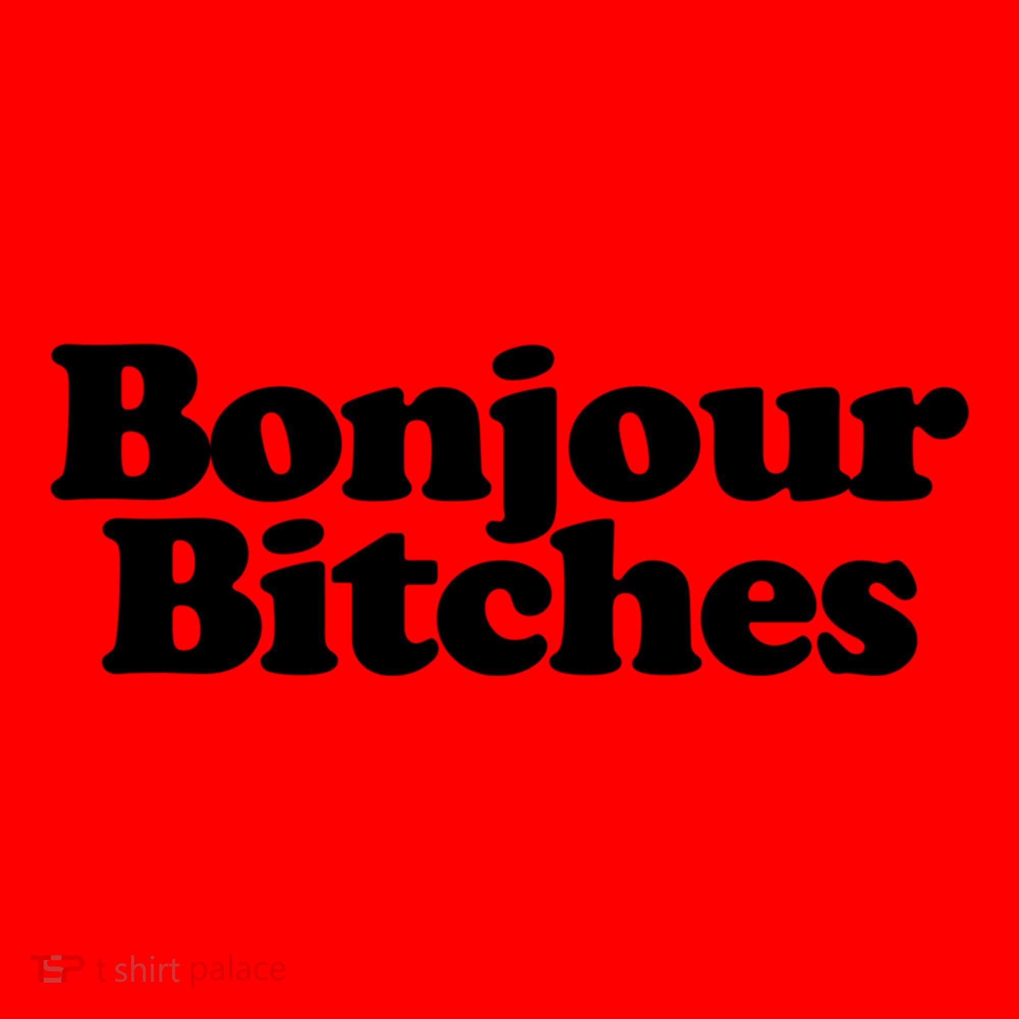 Bonjour Bitches Funny French Bonjour Bitches Gift Santa Hat