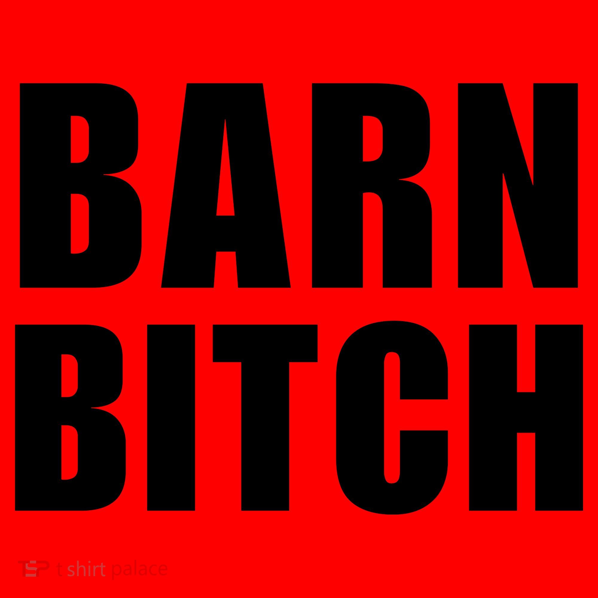 Barn Bitch Funny Saying Sarcastic Farming Farmer Santa Hat