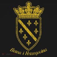 Bosnia Bosnian Flag Bosna I Hercegovina Balkan Fan T-Shirt thumb 7
