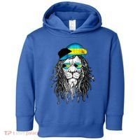 Bahamas Bahamer Flag Lion Bahamas Toddler Hoodie thumb 0