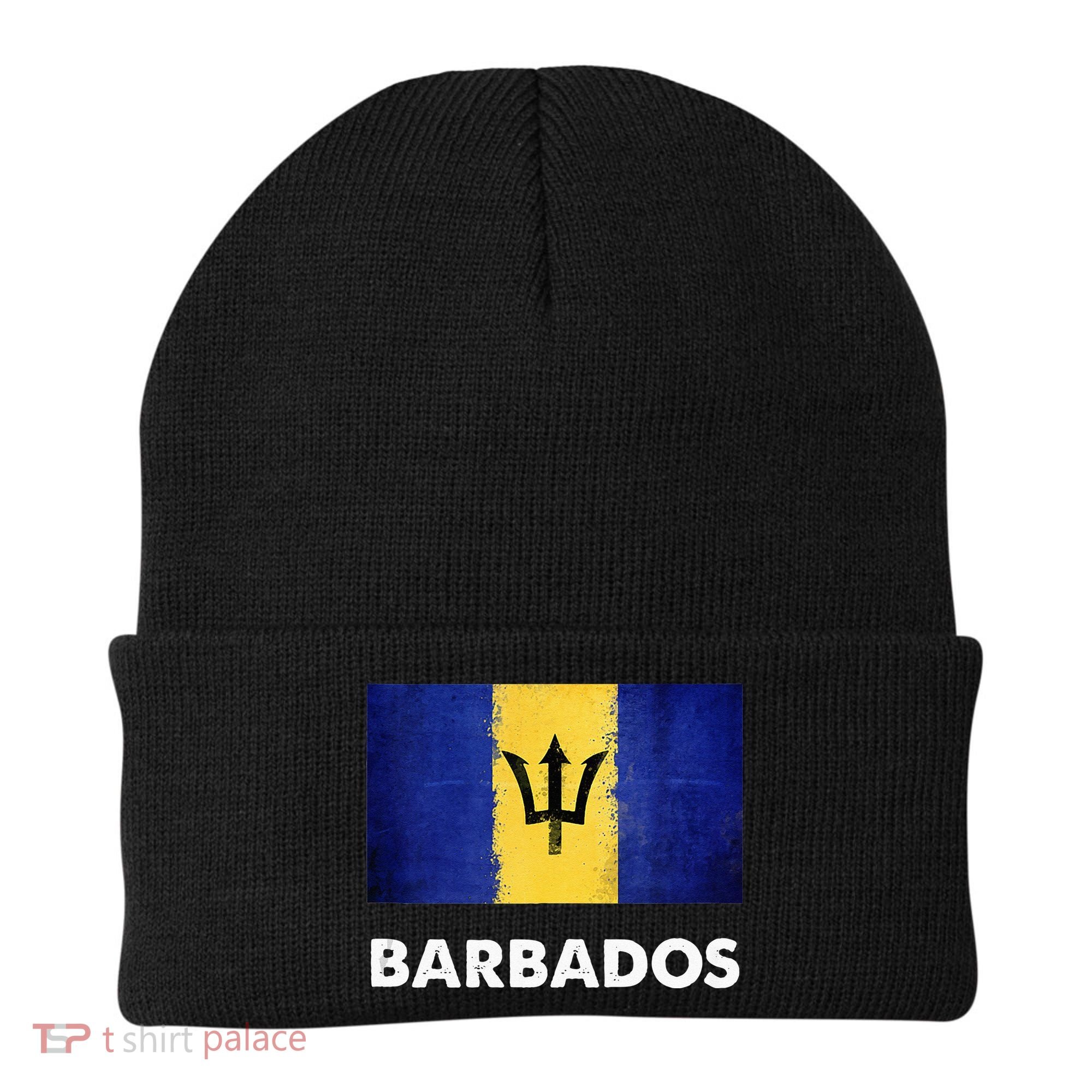 Barbadian Barbados Flag Beanie