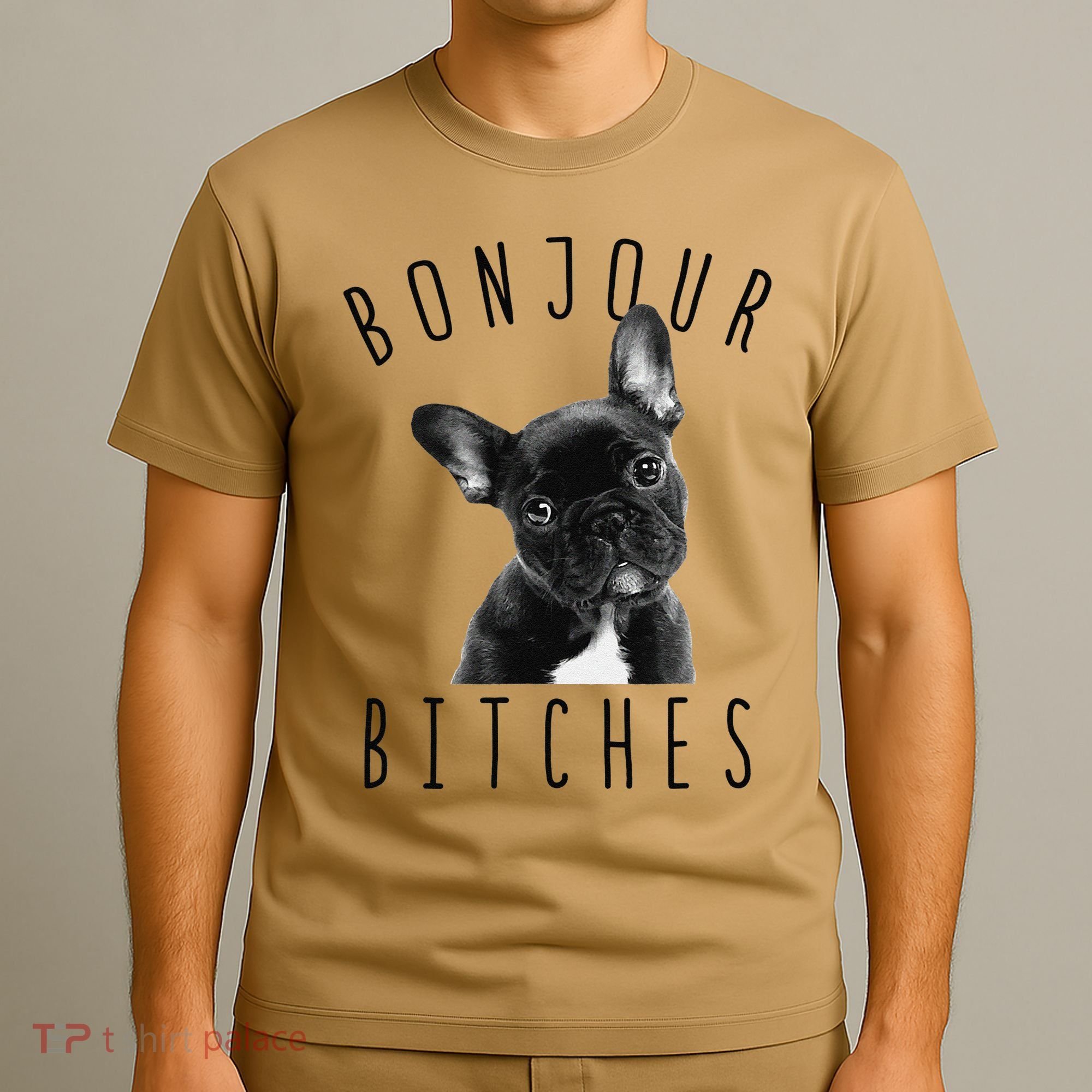 Bonjour Bitches Funny French Bulldog Dog Lover Gift T-Shirt