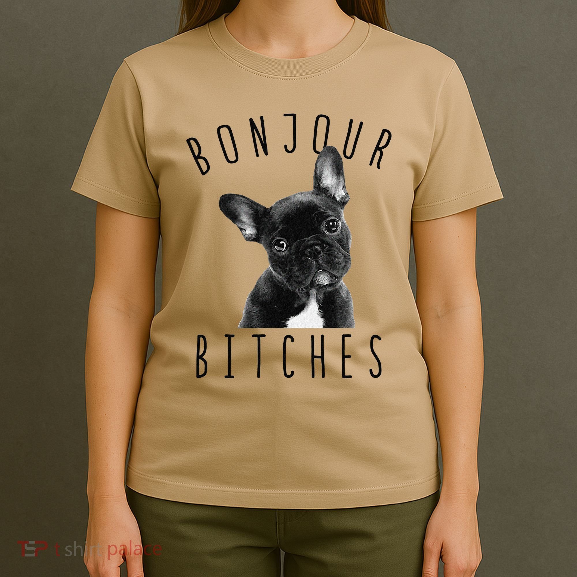 Bonjour Bitches Funny French Bulldog Dog Lover Gift T-Shirt