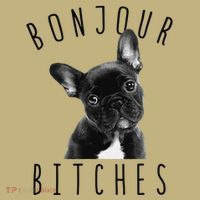 Bonjour Bitches Funny French Bulldog Dog Lover Gift T-Shirt thumb 7