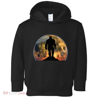 Toddler Hoodie