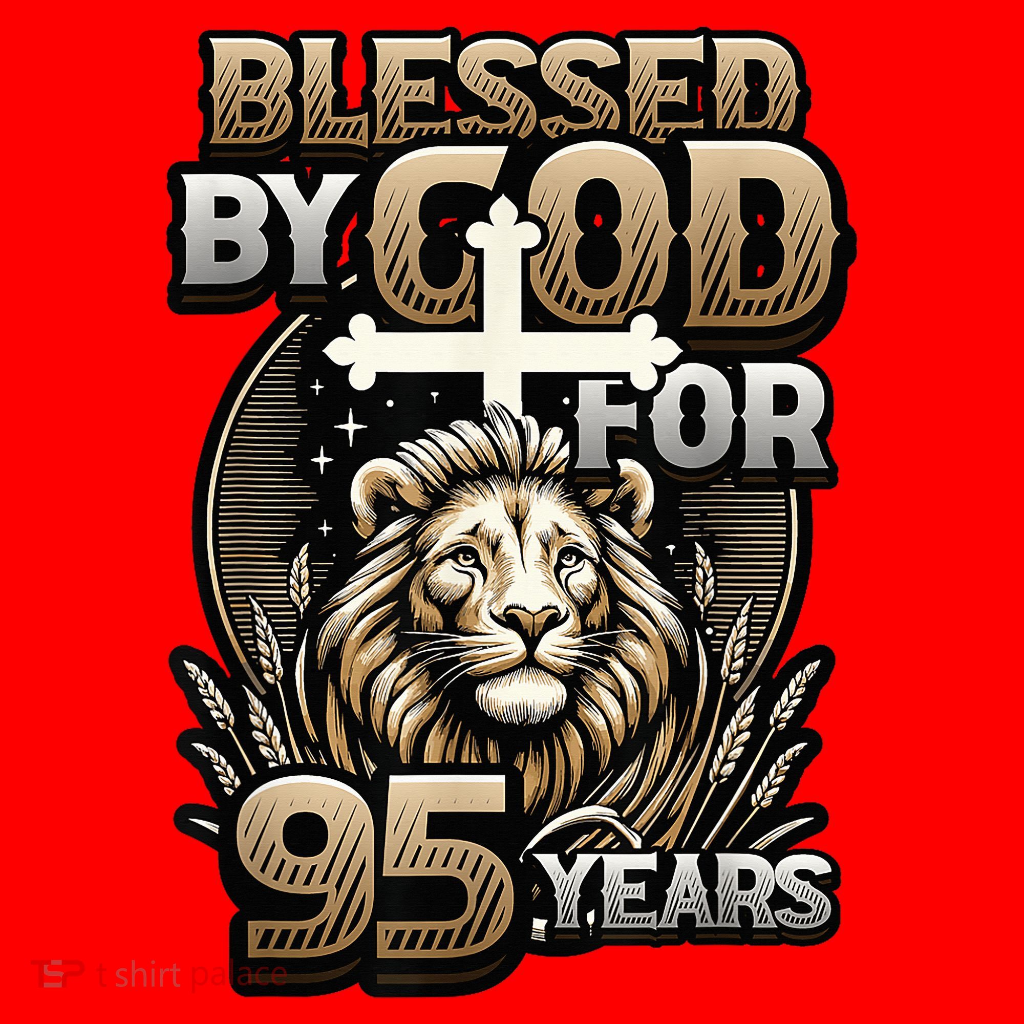 Blessed By God For 95 Years Religious Themed 95th Birthday Santa Hat