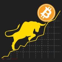 Bitcoin Bull Graph Bullish BTC Crypto Beanie thumb 2