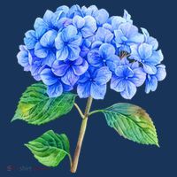 Beautiful Blue Hydrangea Flowers Kids Sweatshirt thumb 2