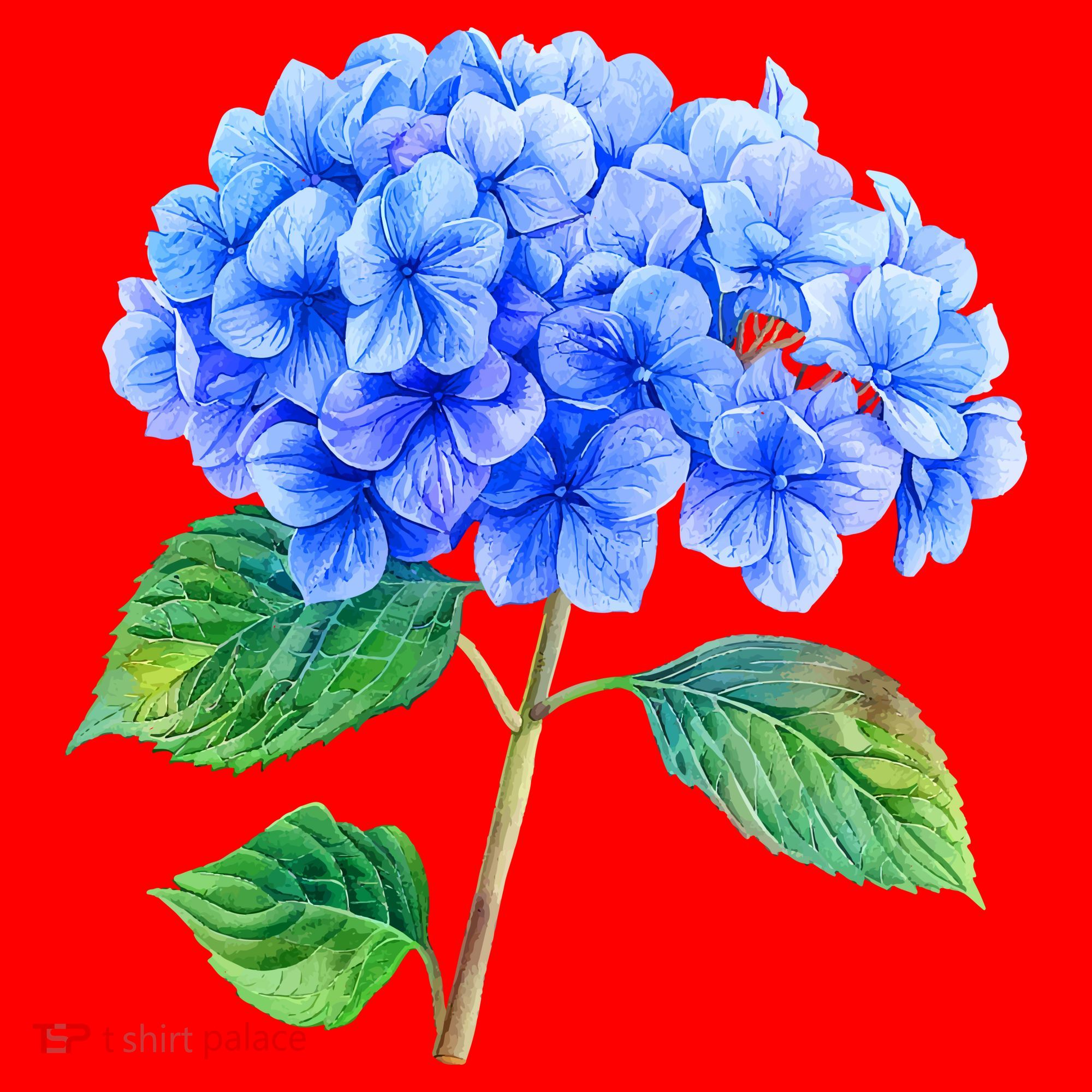 Beautiful Blue Hydrangea Flowers Santa Hat