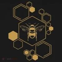 Bee Beekeeping Honeycomb Honey Beekeeper Bee Women's T-Shirt thumb 6