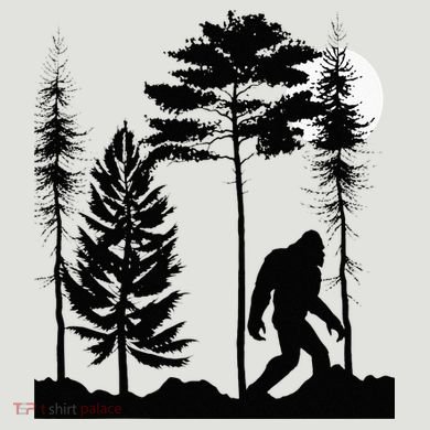 Bigfoo Bigfoot Hiding In Forest At Night Sasquatch 24oz Duet Stainless Steel Tumbler