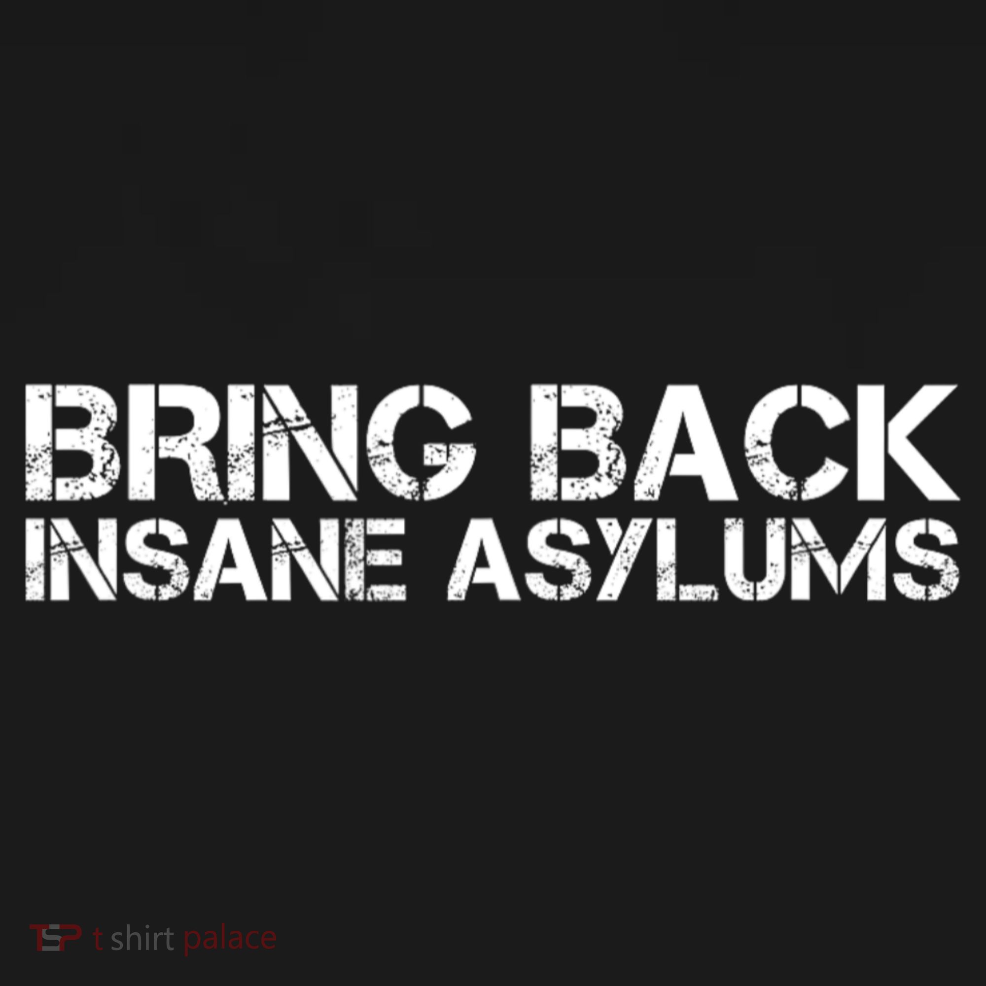 Bring Back Insane Asylums Sweatshirt