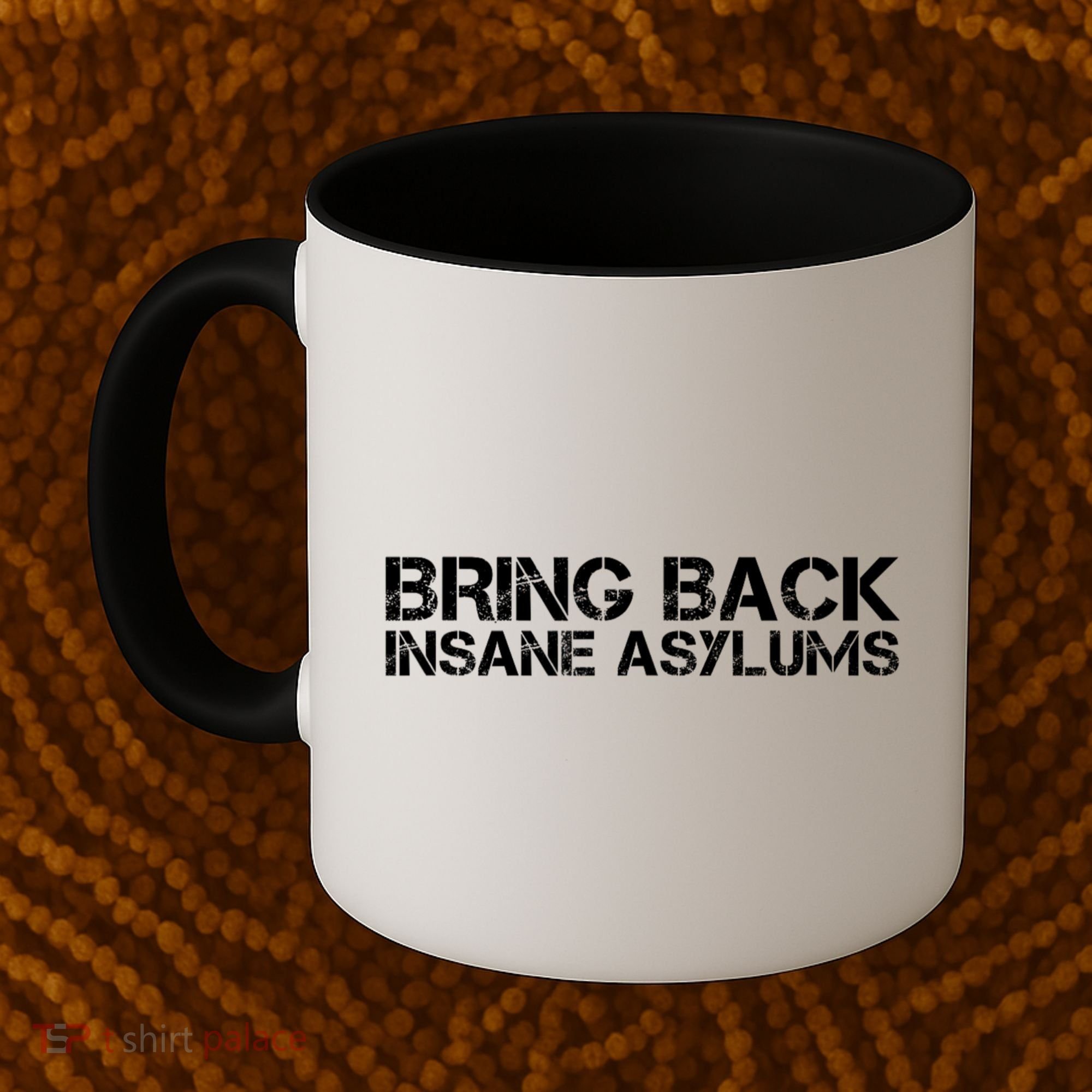 Bring Back Insane Asylums Coffee Mug