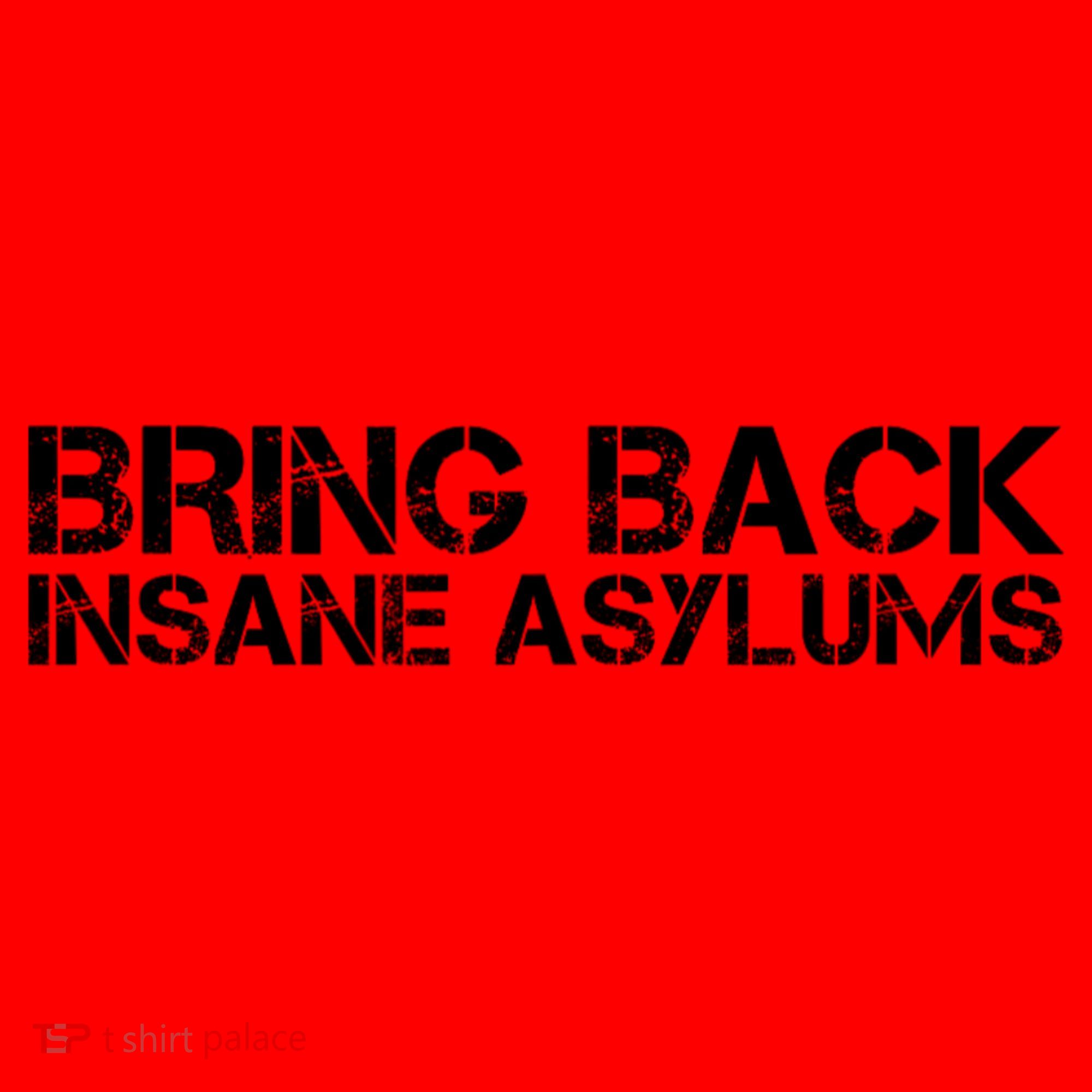 Bring Back Insane Asylums Santa Hat