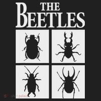 Beetles Bug Lover Funny Entomology Gifts Future Entomologist Beanie thumb 2
