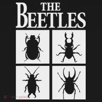 Beetles Bug Lover Funny Entomology Gifts Future Entomologist Women's Hoodie thumb 2