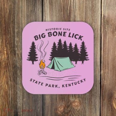 Big Bone Lick Park Coaster
