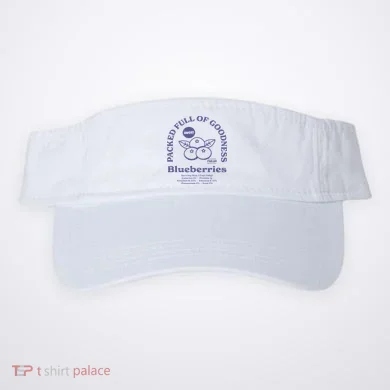 Visor