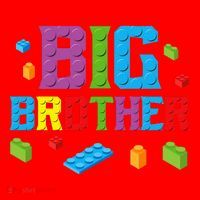 Big Brother Master Builder Building Bricks Blocks Family Set Santa Hat thumb 1