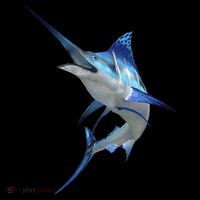 Beautiful Blue Marlin Fishing Women's Hoodie thumb 2