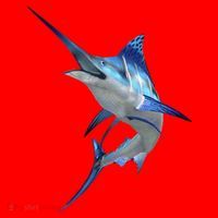 Beautiful Blue Marlin Fishing Santa Hat thumb 1