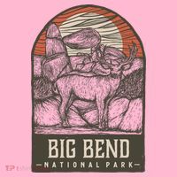 Big Bend National Park Coaster thumb 2
