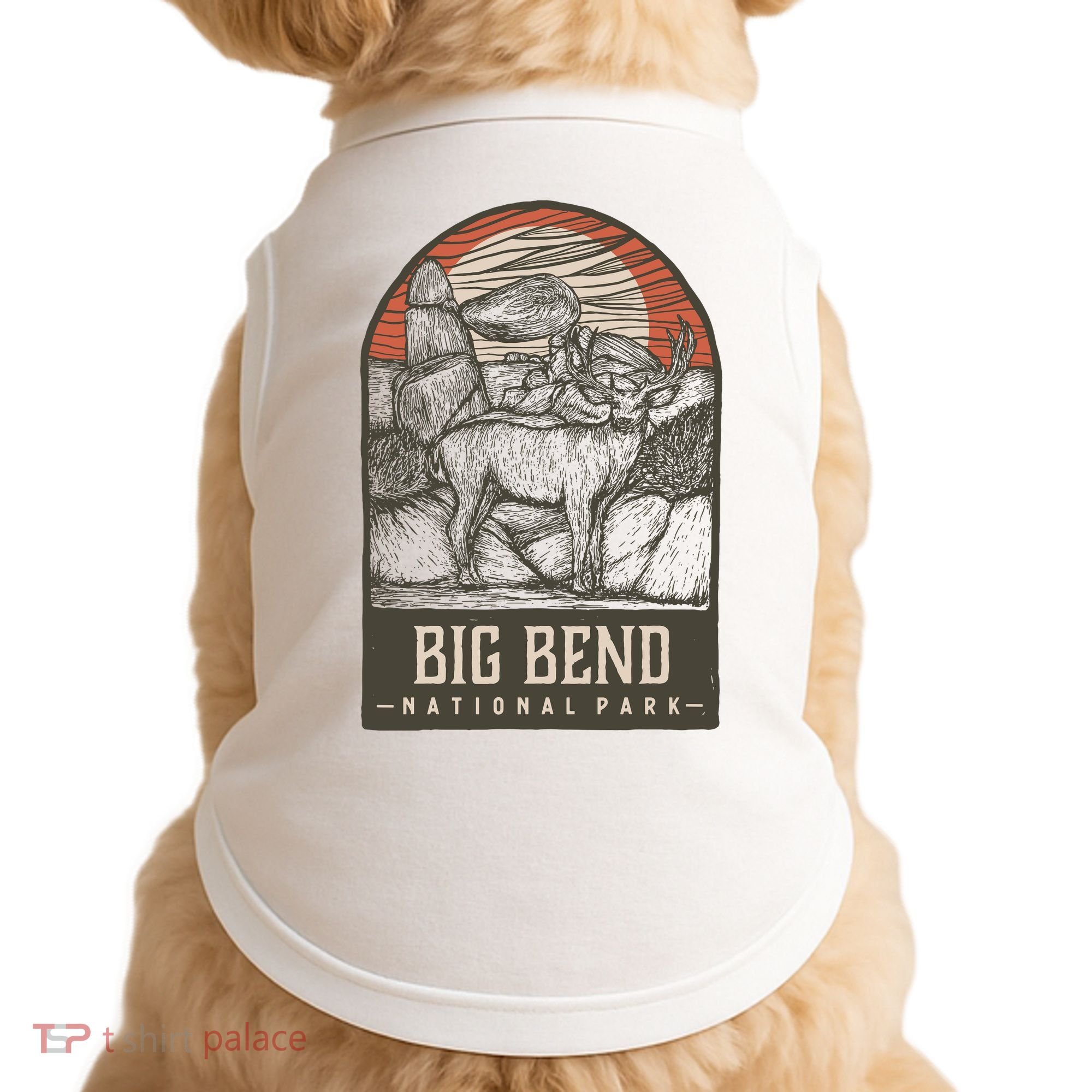Big Bend National Park Doggie Tank