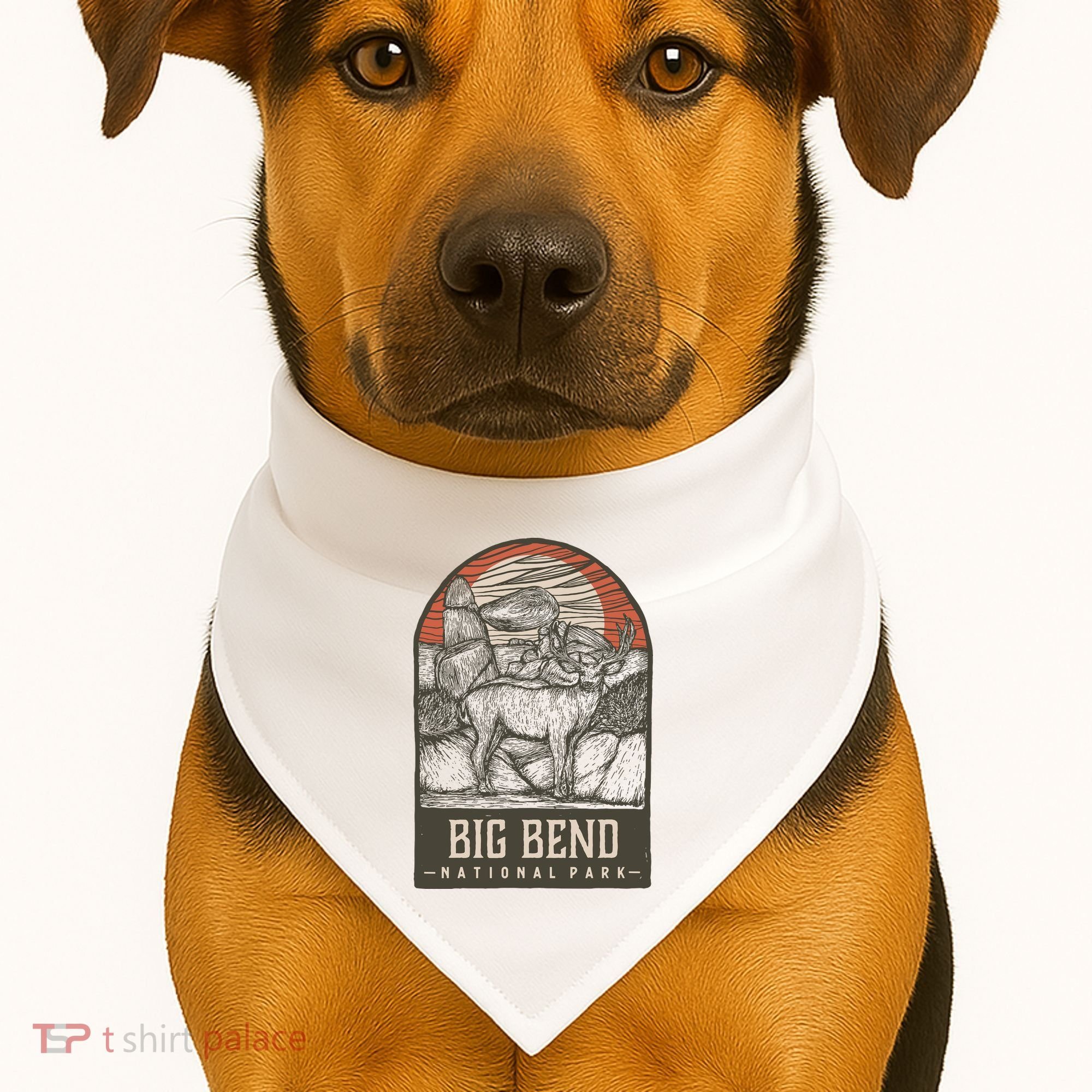Big Bend National Park USA-Made Doggie Bandana