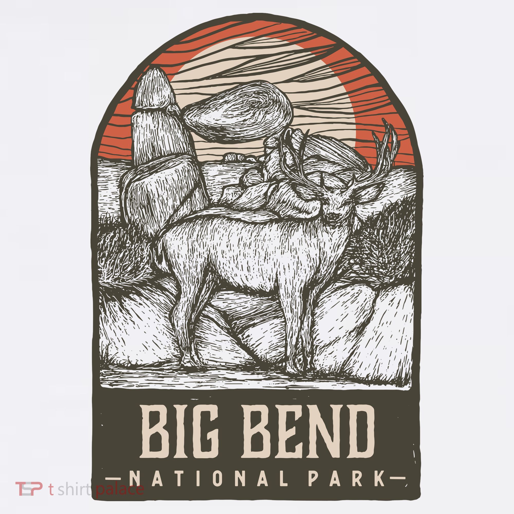 Big Bend National Park Bucket Hat