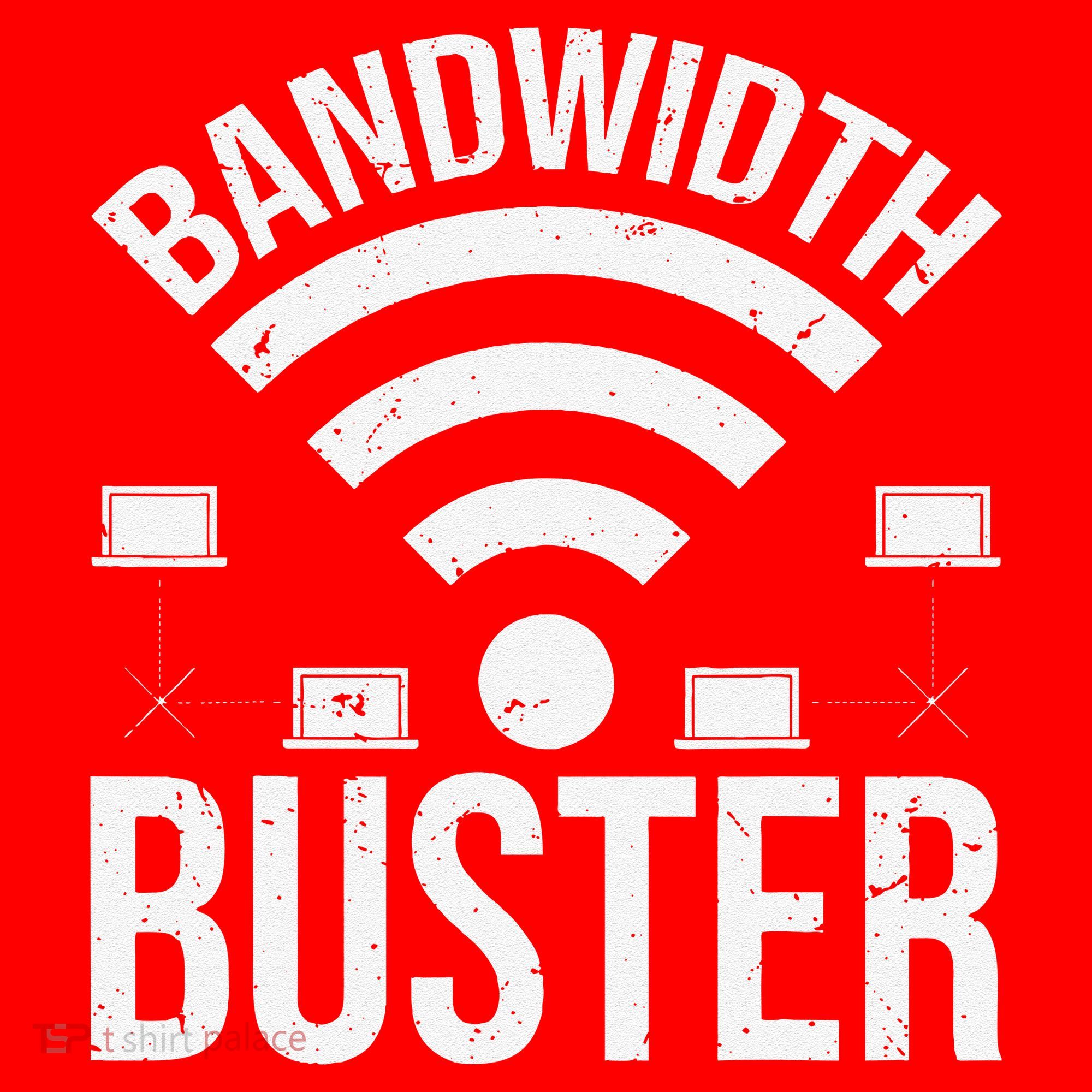 Bandwidth Buster Network Admin Santa Hat