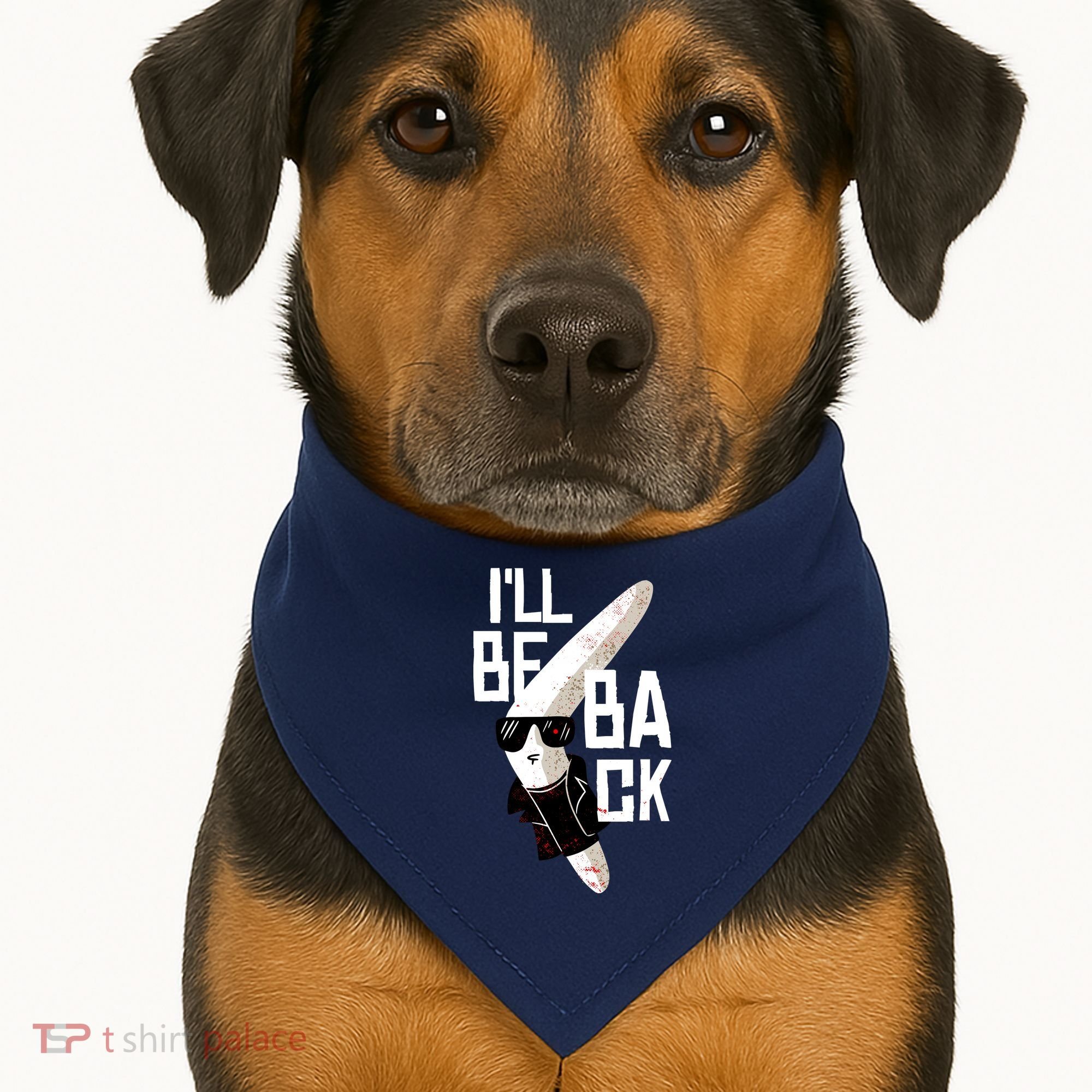 Boomerang USA-Made Doggie Bandana