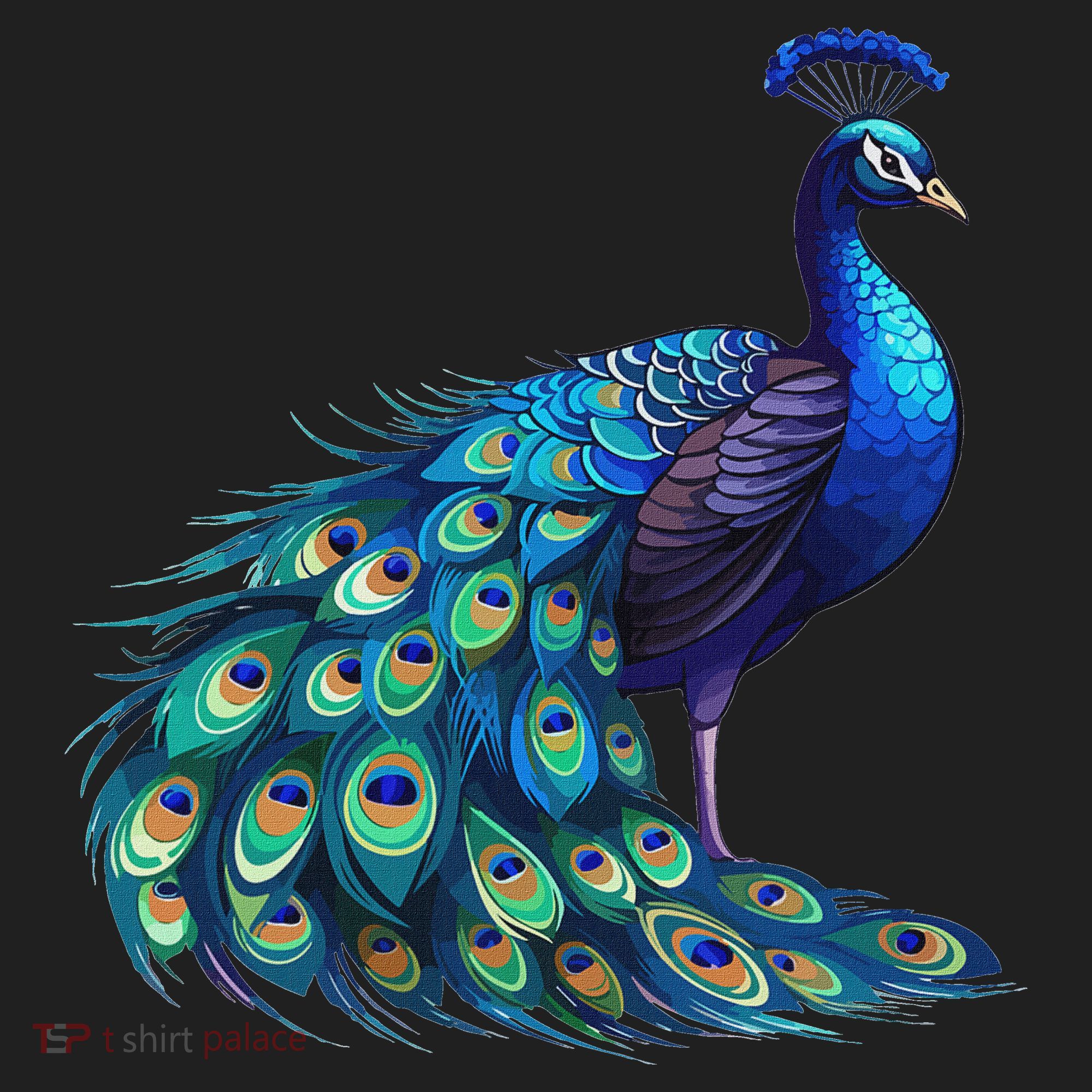 Beautiful Blue Peacock Teal Feathers Bird Lover Women Beanie