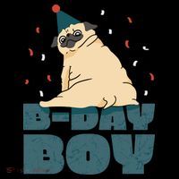 Birthday Boy Pug Coaster thumb 2