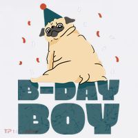 Birthday Boy Pug Bucket Hat thumb 4