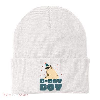 Birthday Boy Pug Beanie