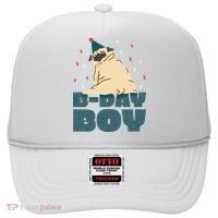 Birthday Boy Pug Hat thumb 0